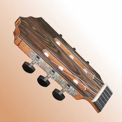 Gitar Tuner